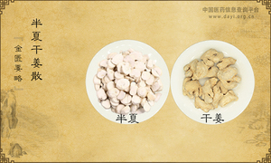 半夏干姜散