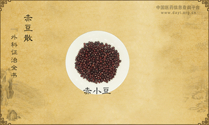 赤豆散《外科证治全书》