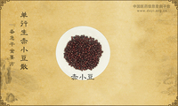 单行生赤小豆散