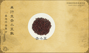单行生赤小豆散