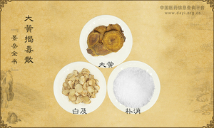 大黄揭毒散