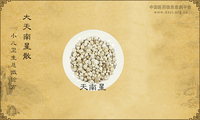 大天南星散