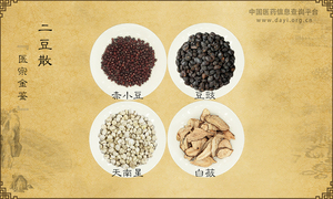 二豆散