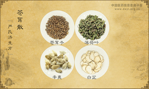 苍耳散《严氏济生方》