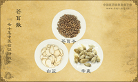 苍耳散《七十名中医临证特效方》
