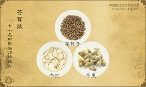 苍耳散《七十名中医临证特效方》