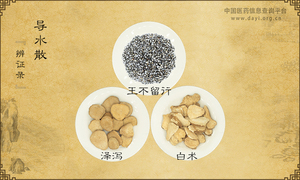 导水散