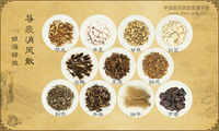 导痰消风散
