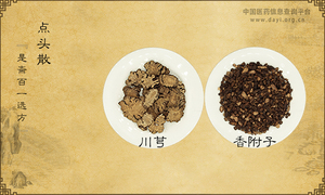 点头散