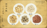 茯苓术散