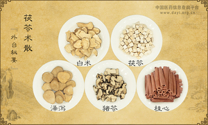 茯苓术散
