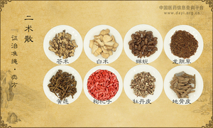 二术散