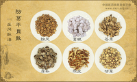 防葛平胃散