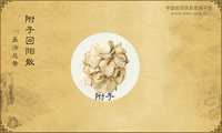 附子回阳散