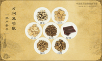 分利五苓散