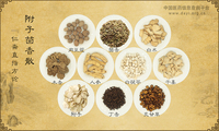 附子茴香散