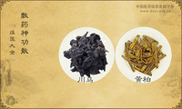 敷药神功散