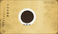 分水车前散