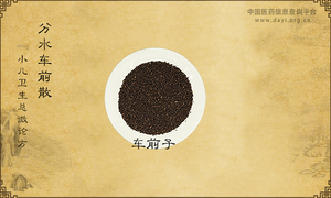 分水车前散