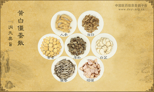 黄白僵蚕散