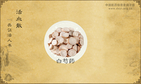 活血散
