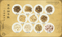 藁本细辛散