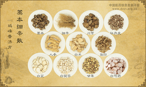 藁本细辛散