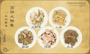 回阳大附散
