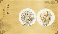 回阳煮散