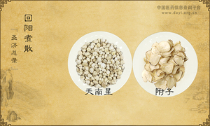 回阳煮散