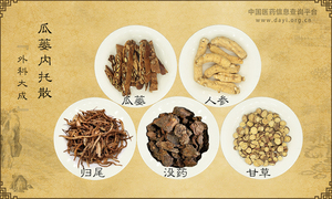 瓜蒌内托散
