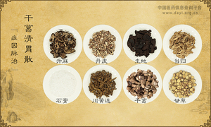 干葛清胃散《症因脉治》