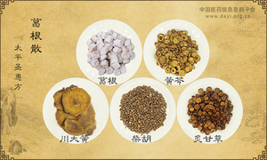 葛根散《太平圣惠方》卷八十四