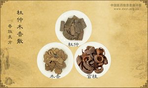 杜仲木香散