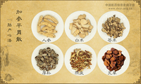 加参平胃散