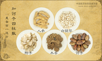 加诃子四柱散