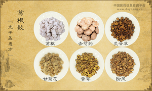 葛根散《太平圣惠方》卷十七