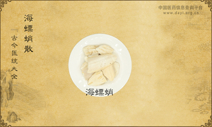 海螵蛸散