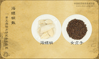海螵蛸散《常见病验方研究参考资料》