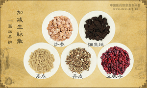 加减生脉散