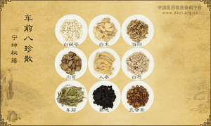 车前八珍散