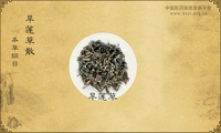 旱莲草散