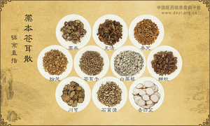 藁本苍耳散《镐京直指》