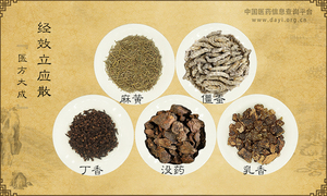 经效立应散