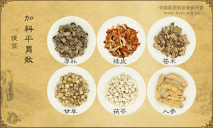 加料平胃散