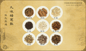 九味蟠葱散