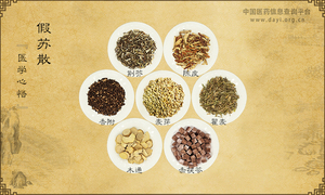 假苏散