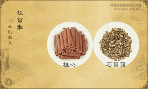 桂菖散