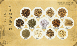 加味丽泽通气散