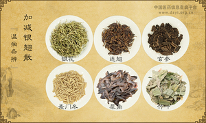 加减银翘散